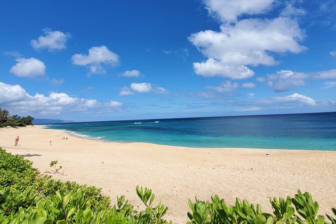Round Trip North Shore Shuttle from Waikiki to Haleiwa Town / Haleiwa Harbor - Who Should Book This Shuttle?