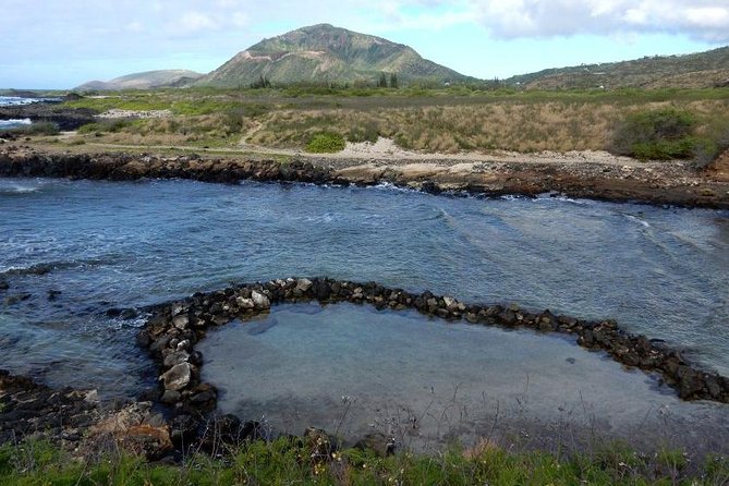 Secret Oahu Hawaii Culture Tour With A Local Guide - Snacks, Water, and Those Small Food Moments That Make the Day Feel Real