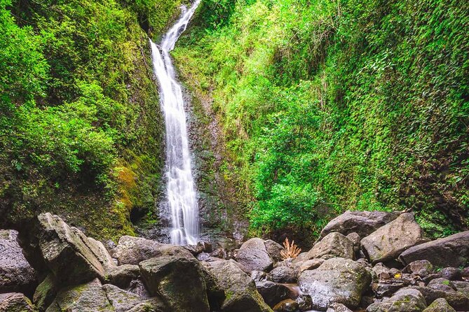 Self guided Hike Trail to Nature Walk & Waterfall - Getting from Waikiki: pickup zones and how the schedule really works