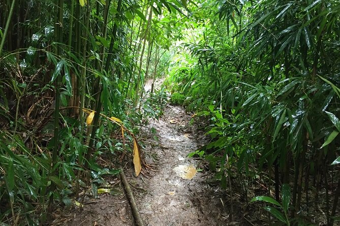 Self guided Hike Trail to Nature Walk & Waterfall - What to pack: shoes, bugs, and the simple stuff that keeps the hike pleasant