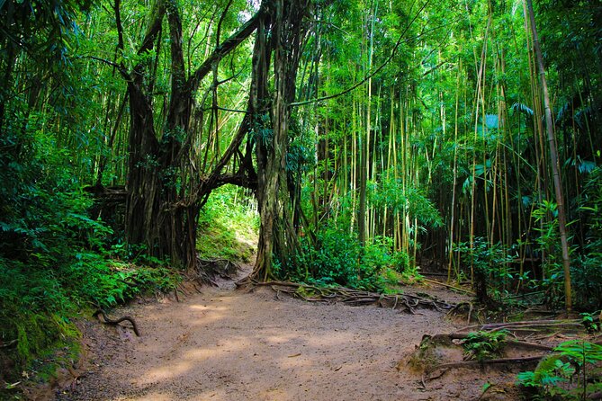 Self guided Hike Trail to Nature Walk & Waterfall - Price and value: what $79 buys you (and what can affect it)