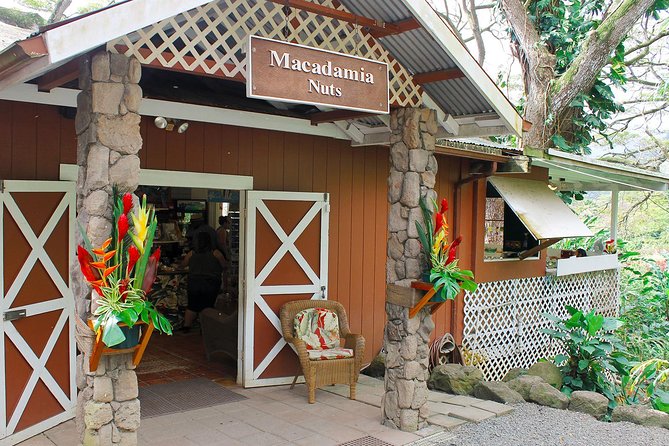 Sights & Bites Ultimate Oahu Circle Island Foodie Tour - Dole Plantation Timing: Why 30 Minutes Can Feel Like 10