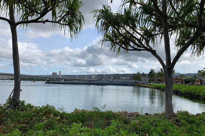 Small Group-Oahu Tour, Dole Plantation, Northshore, Sunset Beach - Getting Started in Honolulu: 7:00 am pickup and a tight 5–6 hours