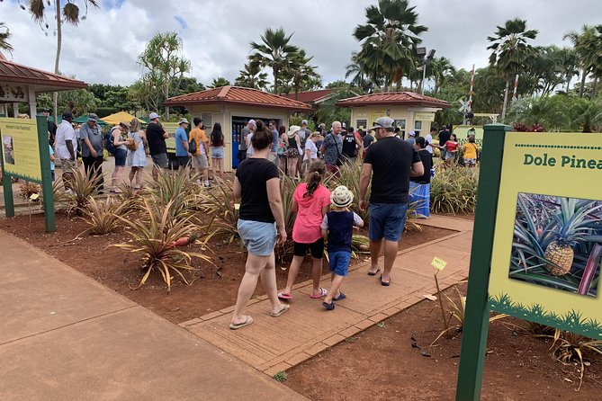 Small Group-Oahu Tour, Dole Plantation, Northshore, Sunset Beach - The Polynesian Cultural Center: hula practice and show support
