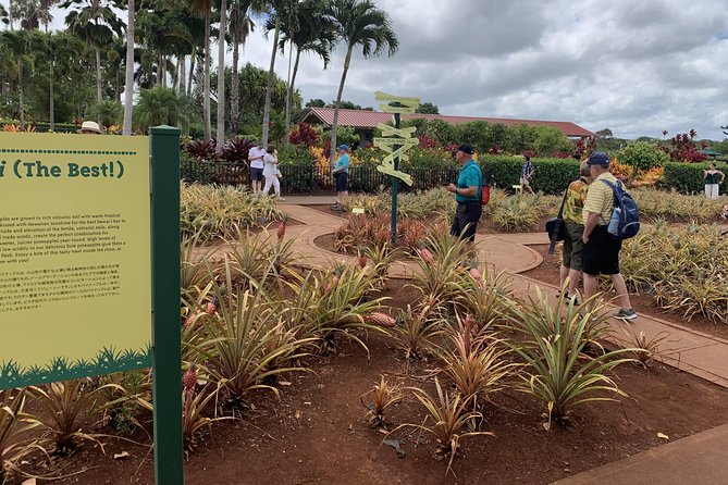 Small Group-Oahu Tour, Dole Plantation, Northshore, Sunset Beach - Value for $199: what’s included, what you’ll still pay, and why it’s fair
