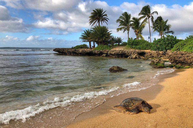 Sunrise Plus Island Tour - Practical value: what you pay for (and what you don’t)