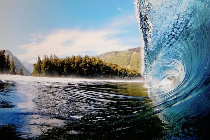 "The Dole Plantation" & "North Shore" Private Limousine VIP Tour! - Best for Who, Not for What
