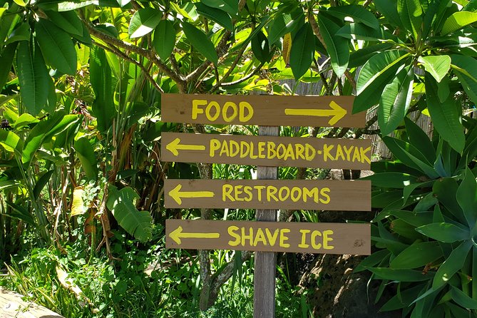 Tour of North Shore & Waimea Waterfall - Macadamia Tasting at Tropical Farms: What You’re Really Paying For