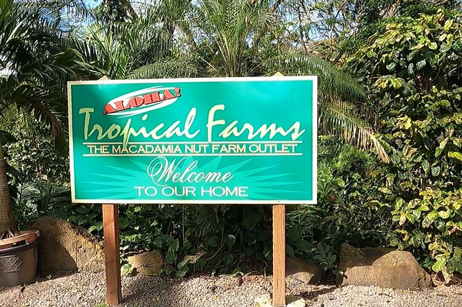 Tour of North Shore & Waimea Waterfall - Fruit Stand Break at Kahuku Farms: The Cooling Intermission