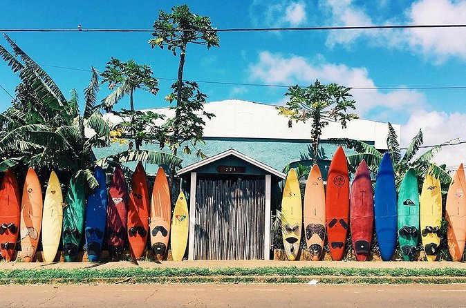 Transportation to North Shore - Where you might stop: Waimea Valley, Waimea Bay, and sea turtle spotting