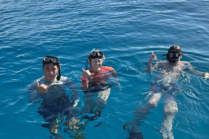 Turtle Canyon Snorkel Tour - Semi-private: 6 passenger max - Key Points Worth Knowing Before You Go