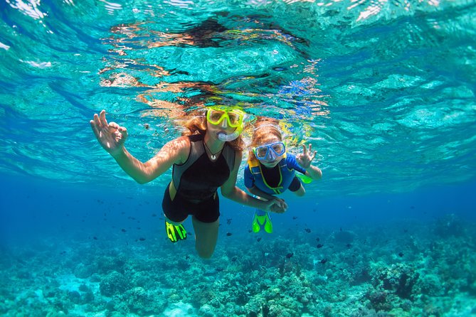 Ultimate Grand Oahu Circle Island Tour with Snorkeling and More - Getting on the Bus: Waikiki Pickup and a 7:00 am Start