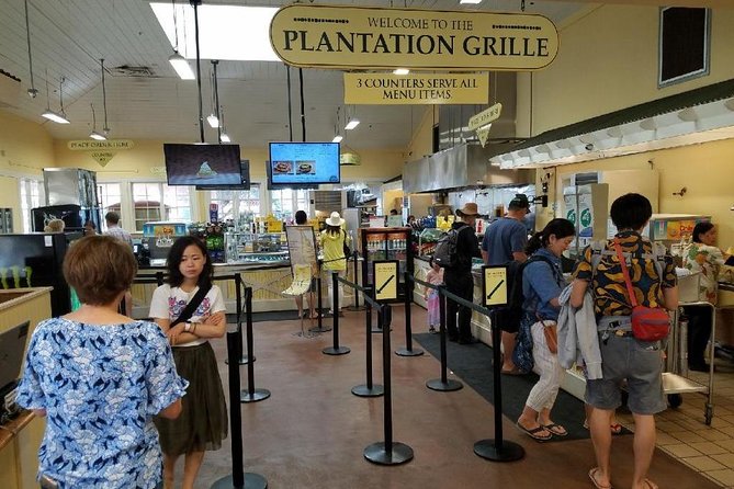 Ultimate Grand Oahu Circle Island Tour with Snorkeling and More - North Shore Switchbacks: Temples, Valleys, and Drive-By Turtle Country