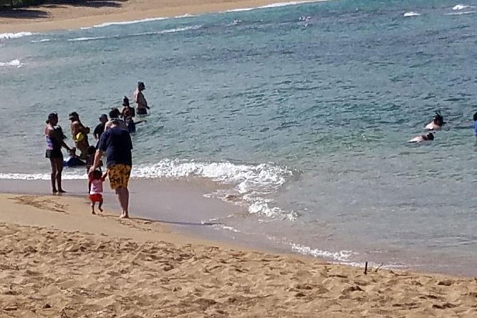 Ultimate Grand Oahu Circle Island Tour with Snorkeling and More - Waimea Valley, Coffee Stops, and Farms: Filling Your Day Beyond Beaches