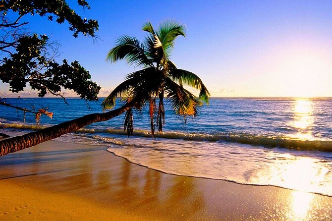 Ultimate North Shore Adventure: Full-Day Hawaiian Experience - Pickup in Waikiki: the schedule that matters