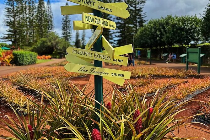 Ultimate North Shore Adventure: Full-Day Hawaiian Experience - Stop 3: Kuilima Farm Stand for quick fruit + local snacks