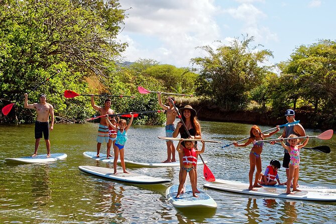 Ultimate North Shore Adventure: Full-Day Hawaiian Experience - Stop 6: Dole Plantation’s pineapple history and treats