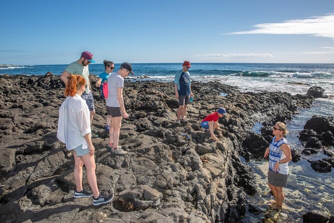 VIP Aloha Style Private Island Tour - Kualoa Regional Park, the North Shore, and Haleiwa