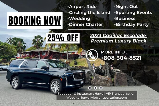 VIP Luxury Transfers: Honolulu Airport ↔ Waikiki ↔ Cruise Port - One drawback to plan for: you may want to add extras