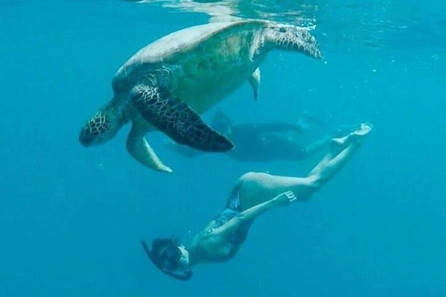 Waikiki Beach: Turtle Snorkeling and Sailing on Hāwea - Snorkeling gear and flotation: what it means for your comfort