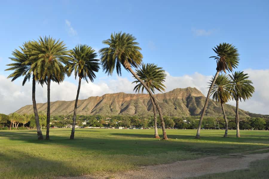 Waikiki: Diamond Head Hiking/ Hiking Starts at 7:00am. - Pickup and drop-off points: convenient, but double-check your exact stop