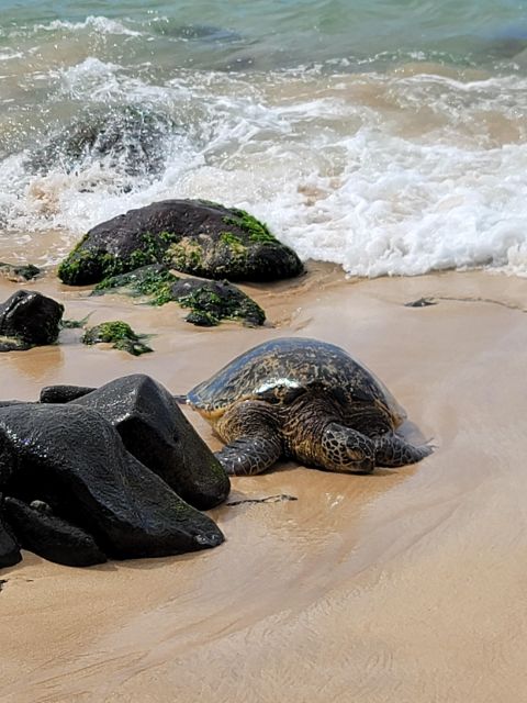 Waikiki: Oahu In a Day Circle Island Tour - Waimea Botanical Garden and Waterfall: The One Fee You Must Plan For