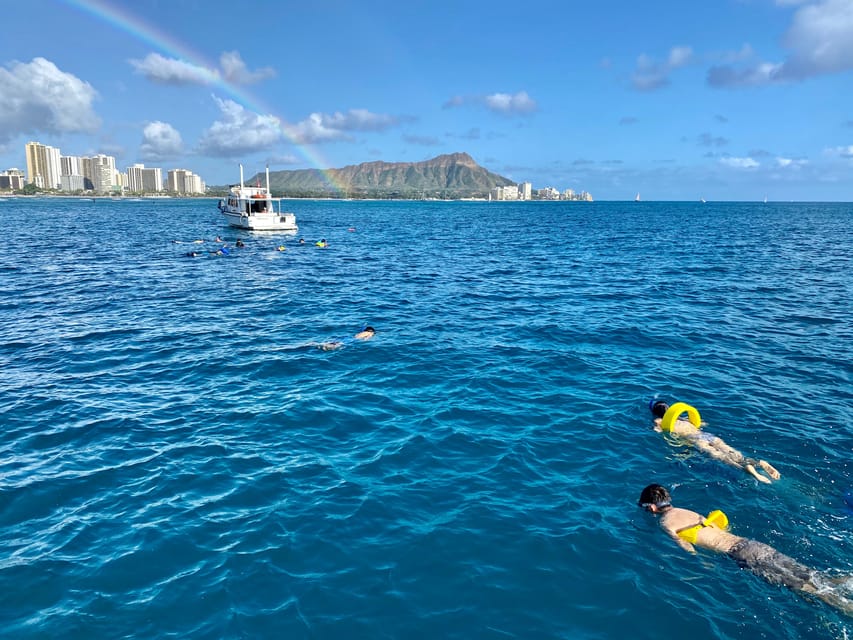 Waikiki: Sea Turtle Snorkeling, Small Group Boat Tour - Comfort and included extras: why this feels easier than most tours