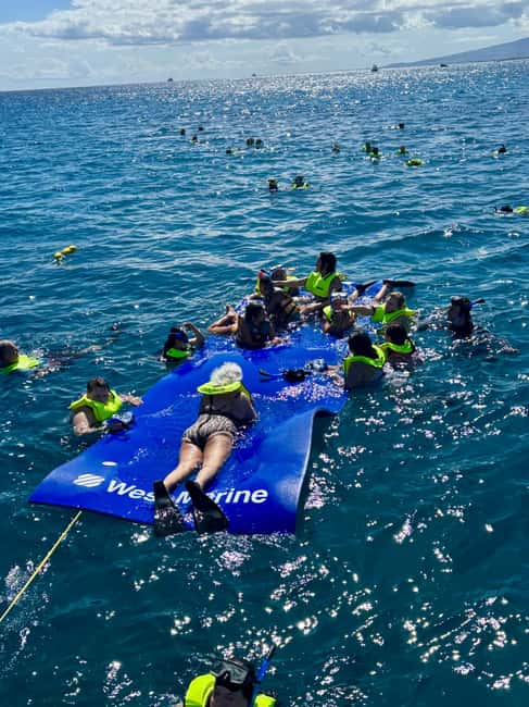 Waikiki: Snorkeling & Ocean Playground Experience - Underwater Viewing Room: A Smart Option for Dry Viewers