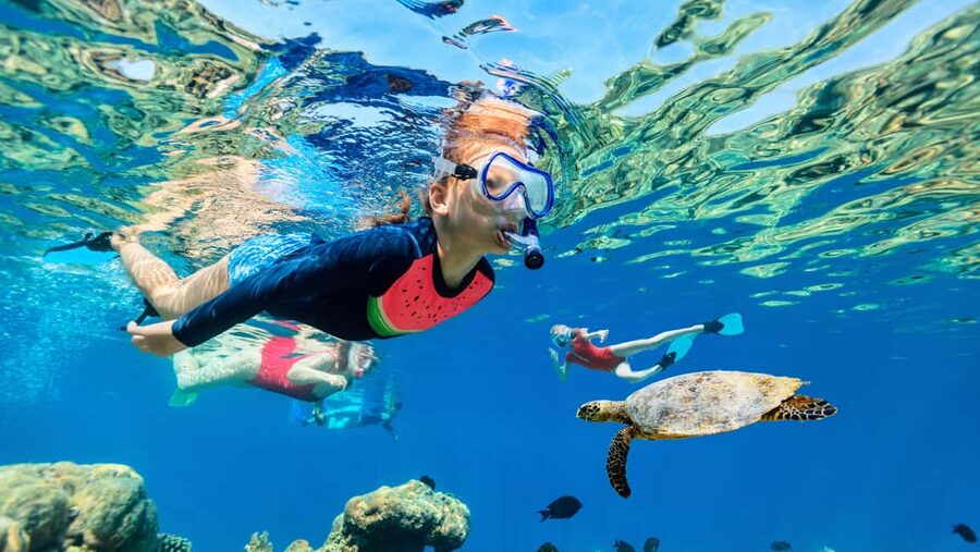 Waikiki: Snorkeling & Ocean Playground Experience - What’s Included Once You Hit the Water