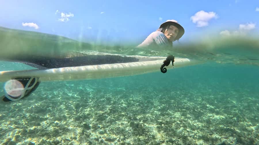 Waikiki: Surf Lessons Easy 60 min classes no crowds! - Kaisers, Rockpiles, and Bowls: Why These Break Names Matter
