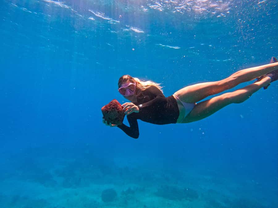 Waikiki: Turtle Canyon Snorkel Tour with Small Group - Turtle Canyon is the main event (and why it matters)