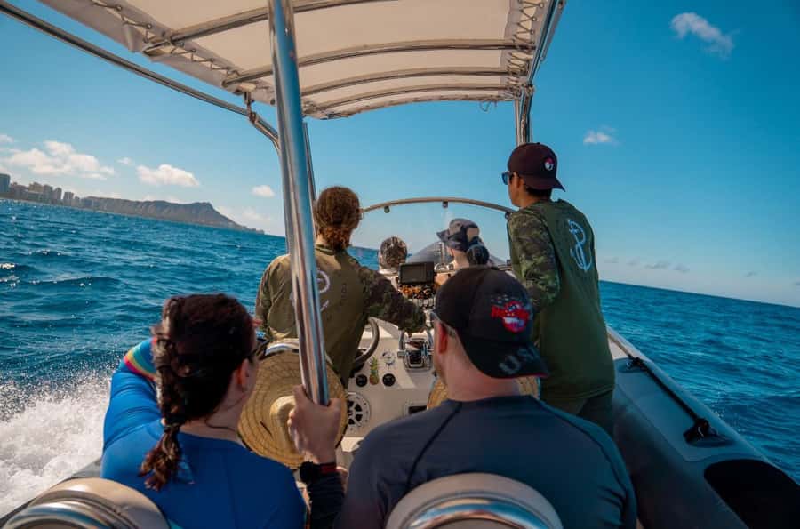 Waikiki: Turtle Canyon Snorkel Tour with Small Group - Snorkeling time in Turtle Canyon: what happens once you’re in