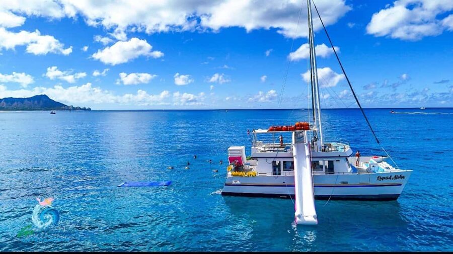 Waikiki Turtle Snorkel Adventure - Key Things That Make This Snorkel Run Worth Your Time