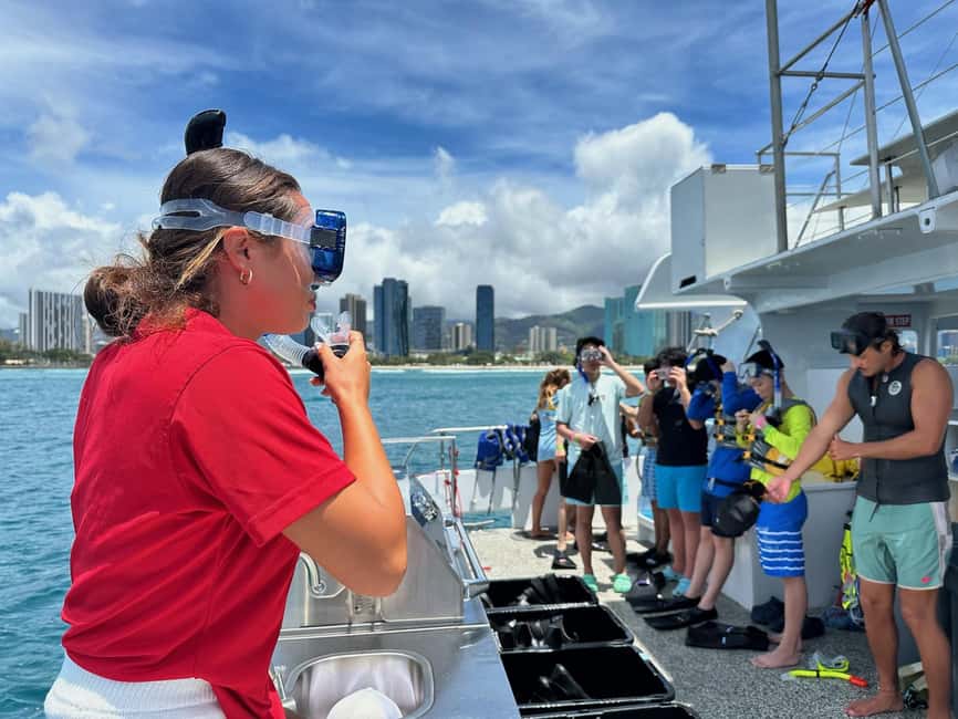 Waikiki Turtle Snorkel Adventure - The Snorkel Plan: How the Crew Chooses Where You Go