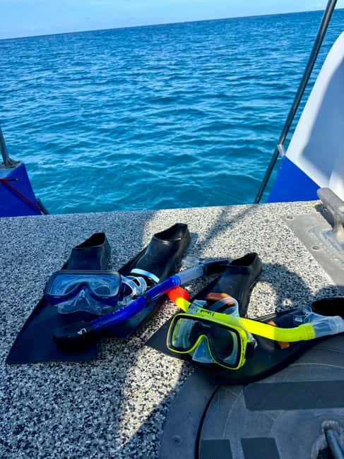 Waikiki Turtle Snorkel Adventure - Safety and Who This Trip Works Best For