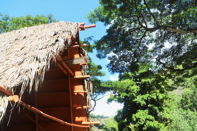 Waimea Valley Waterfall Swim & Dole Plantation Tour with Lunch - Quick hits before you go