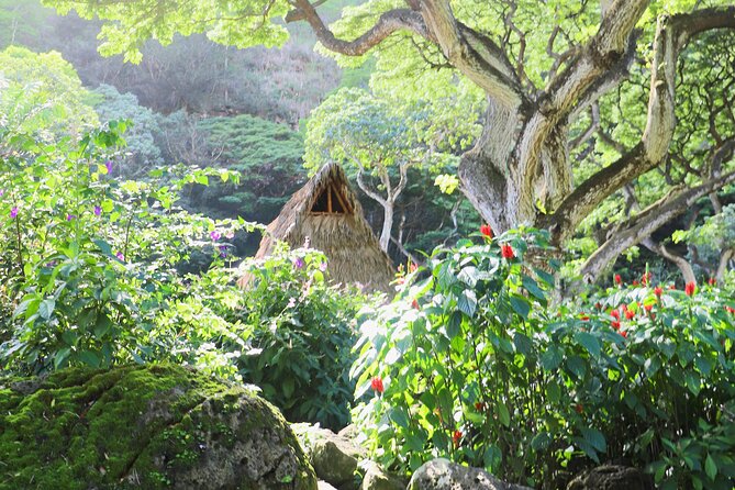 Waimea Valley Waterfall Swim & Dole Plantation Tour with Lunch - Lunch in the valley: fuel that actually fits the day