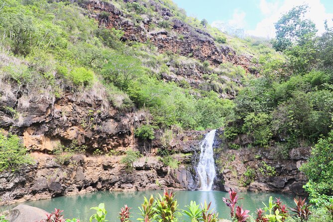 Waimea Valley Waterfall Swim & Dole Plantation Tour with Lunch - Dole Plantation: pineapple history plus a not-so-long stroll