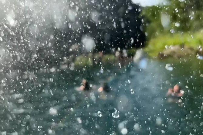 Waimea Valley Waterfall Swim & Dole Plantation Tour with Lunch - Waikiki pickup: the timing that keeps the day smooth