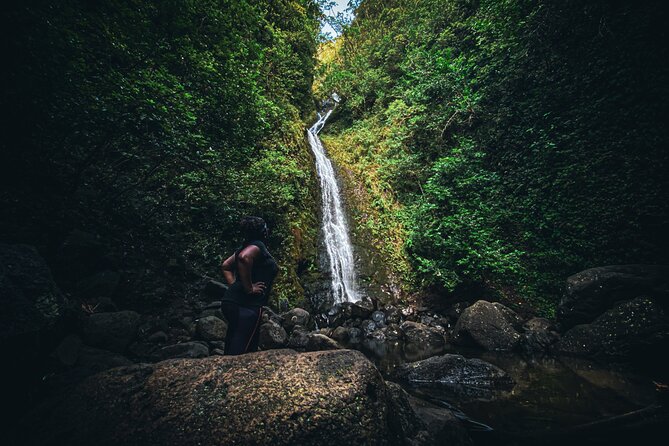Waterfall Hike in Hawai'i Rainforest Trail - Guided Safety on Wet Ground: Why the Guide Matters