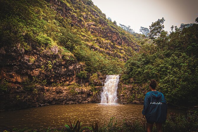 Waterfall Hike in Hawai'i Rainforest Trail - Rain Jacket and Snack Breaks: The Comfort Factor You Feel Later