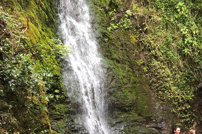 Waterfall Hike , Sightseeing & East Side Beach Day - Key Things You’ll Actually Notice On This Tour