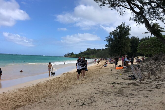 Waterfall Hike , Sightseeing & East Side Beach Day - Lunch Is On Your Own: How to Make the Most of the Break