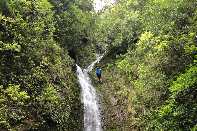 Waterfall Hike , Sightseeing & East Side Beach Day - Pickup, Jeep or Luxury Van, and That Small-Group Feel