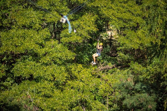 Zip & Dip: Zipline and Wet 'n' Wild Waterpark Combo - Price and Value: Is $176.03 Worth It?